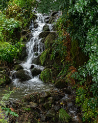 Naklejka premium Rio pirenaico a través del Bosque