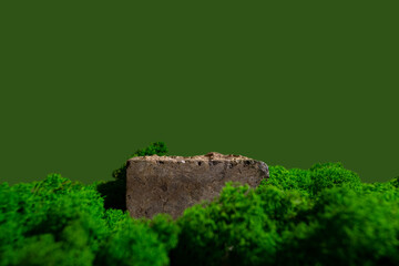 Composition of stone and moss on green background. Abstract podium for organic cosmetic products....