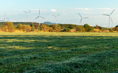 Agricultural fields on the foreground. windmills on the background.