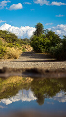 Fototapeta premium Water reflection in Parque, Cerro Quimey, San Bernardo, Chile.