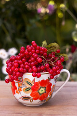 Red viburnum berries in a cup, on a wooden background. Useful medicinal berries.