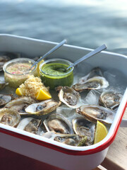 Oysters with sauce and garnish served dockside on an enamel tray 