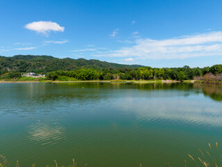 緑が広がる貯水池の風景