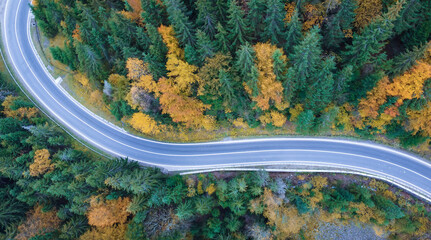 Aerial view of the road in a beautiful pine and deciduous forest. Drone flight over mountain roads.