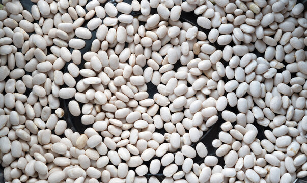 Dried white haricot beans. Source of healthy protein and dietary fiber. Beans reduse cholesterol levels in the blood. Selective focus.