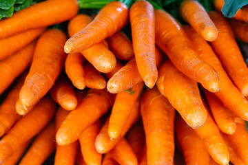 fresh carrots in a market