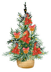 Christmas tree. Watercolor hand drawn