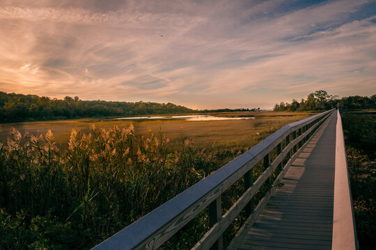 Wooden bridge over the flax pond, Setauket, New York © Jay
