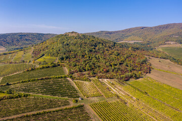 Hungary, Tokaj landscape with vineyard. Tokaj Wine Region Historic Cultural Landscape is UNESCO World Heritage Site.