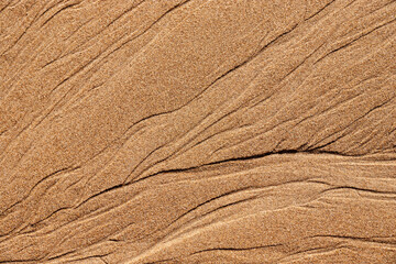 texture of wet beach sand