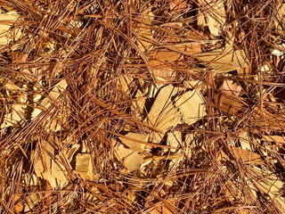 close up view of dry pine needles and fresh cut wood chips at lumberyard or garden ground cover