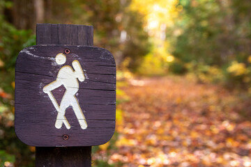 A trail marker surrounded with fall colors.  - 463936584