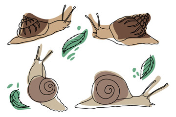 Set of snails in style of sketch, decor leaves. Vector illustration for banner design, packaging, print, textiles.