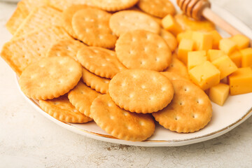 Platter with crunchy crackers and cheese, closeup
