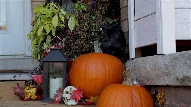 Halloween pumpkins, rats,skulls Halloween decorations. Halloween celebration.