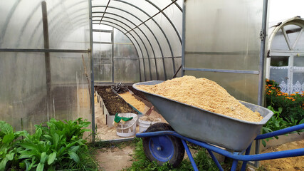Garden cart with sawdust. Autumn work in the greenhouse. - obrazy, fototapety, plakaty