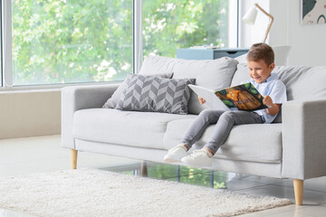 Cute little boy with reading book on sofa in living room