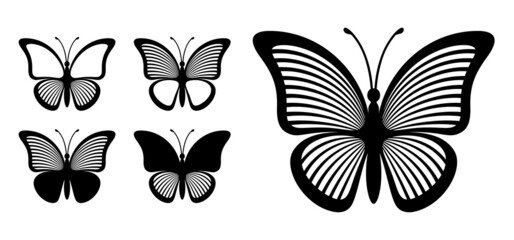 Outlines of butterflies with striped wings