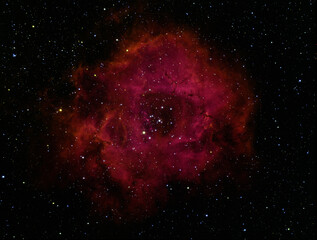 A deep space nebula that resembles a red rose © jn14productions