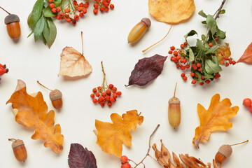 Beautiful autumn composition with dried leaves, berries and acorns on white background, closeup