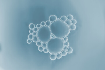 Macro close up of soap bubbles look like scientific image of cell and cell membrane	
