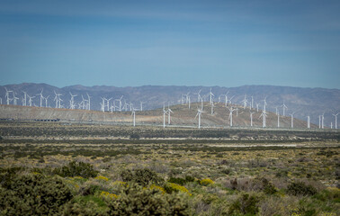 Windmills in the desert