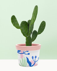 Cereus cactus plant in a patterned pot