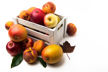 assorted fruits in a box on a white background