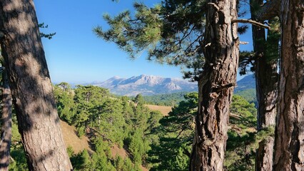 Obraz premium The landscape of Dedegol Tepesi, Konya Province, Turkey