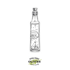 Fototapeta na wymiar Garlic flavoured olive oil bottle, hand drawn vector illustration.