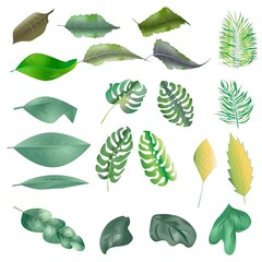 Leaf Sign and Icon Set Vector Illustration