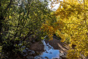 Beautiful Santa Fe River