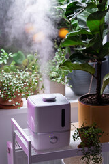 Steam from electric humidifier, moistens dry air surrounded by indoor houseplants during the heating season. Home garden, hobby, plant care. Humidification, comfortable living conditions concept. 