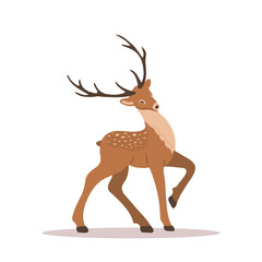 Elegant noble sika deer. Reindeer with antlers on white background. Ruminant mammal animal. Vector illustration in flat cartoon style.