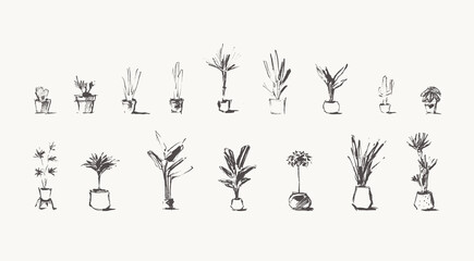 Drawn Home Plants House Greenery pots vector