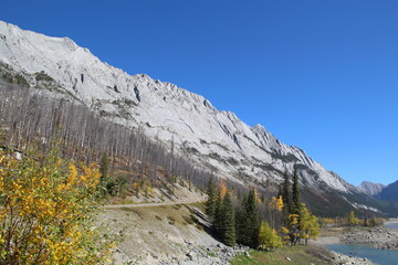 October On the Ridge, Jasper National Park, Alberta