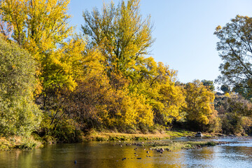 Lozoya river, with the colors of autumn, as it passes through the Sierra de Guadarrama in the province of Madrid