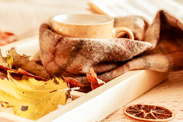 Hot tea or coffee in a ceramic mug with checked scarf surrounded by autumn leaves on wooden tray. The concept of cozy autumn