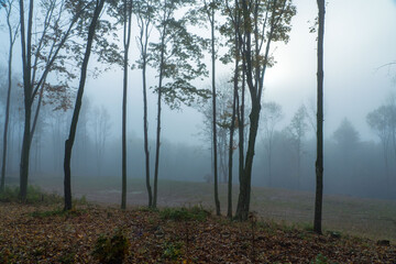 Fototapeta na wymiar Autumn Morning Fog Mist in Vermont
