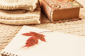 Red autumn leaf on the blank page of a sketchbook, a book, knitted cloths on beige background