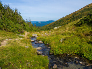 Mountain landscape. A stream or clear water and green foliage. Beautiful field with a small river flowing through green grass covered hills with big stones in Carpathian valley near Hoverla.