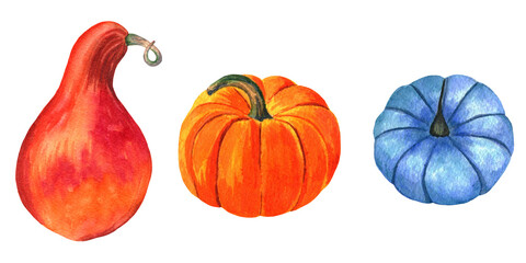 watercolor pumpkin set of different shapes and colors
