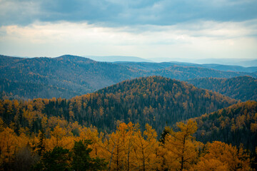 Panorama of the autumn forest against the blue sky with clouds.