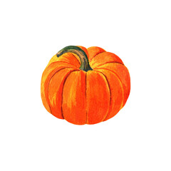 watercolor illustration of an orange pumpkin with a tail