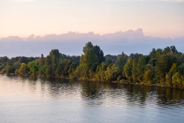 The bank of the Daugava River, overgrown with forest at sunset. Reflection of trees on the surface of the water. Beautiful big cloud of reconciliation. Natural landscape close up © Julija