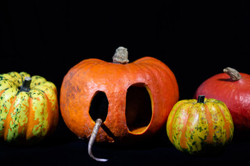 A dirty rat's tail sticking out of an eye of a carved orange pumpkin; halloween pumpkins with a...