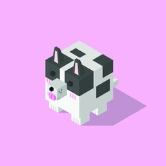French Bulldog cubic isometric on pink background