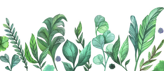 A hand drawn botanical illustration with plants and leaves. Watercolor picture with bright colors is perfect for cards, posters, graphic design.