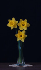 Flowers of yellow daffodils in a vase.