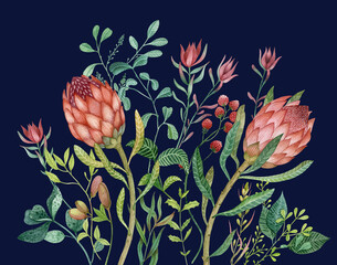 A hand drawn botanical illustration with plants and protea flowers. Watercolor picture with bright colors is perfect for cards, posters, graphic design.